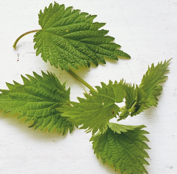 Иллюстрация к книге — Лагом. Шведские секреты счастливой жизни [i_060.jpg]