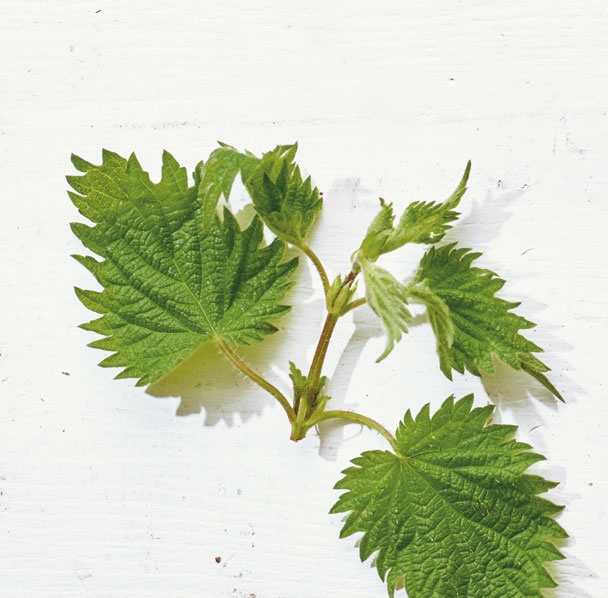 Иллюстрация к книге — Лагом. Шведские секреты счастливой жизни [i_065.jpg]