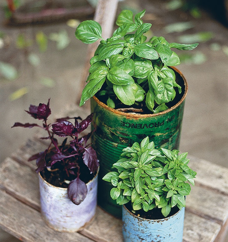 Иллюстрация к книге — Лагом. Шведские секреты счастливой жизни [i_110.jpg]