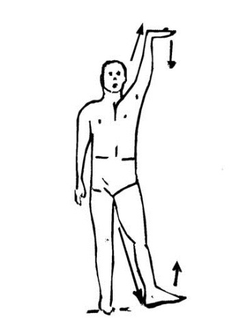 Иллюстрация к книге — Библия актерского мастерства. Уникальное собрание тренингов по методикам величайших режиссеров [i_019.jpg]