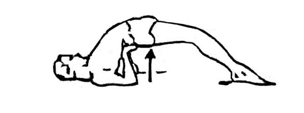 Иллюстрация к книге — Библия актерского мастерства. Уникальное собрание тренингов по методикам величайших режиссеров [i_023.jpg]