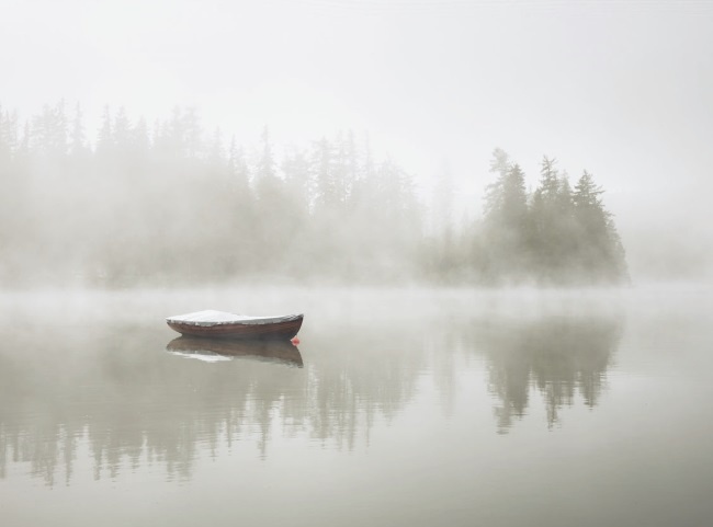 Иллюстрация к книге — Волк. Размышления о главном [i_003.jpg]