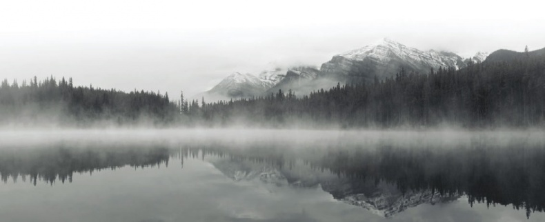 Иллюстрация к книге — Волк. Размышления о главном [i_009.jpg]