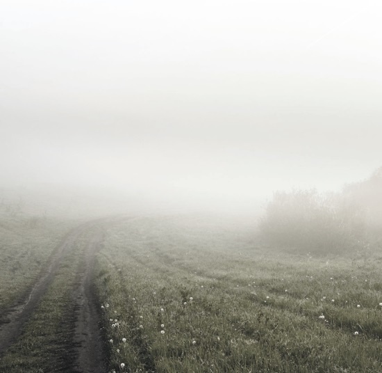 Иллюстрация к книге — Волк. Размышления о главном [i_012.jpg]