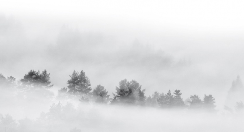 Иллюстрация к книге — Волк. Размышления о главном [i_014.jpg]