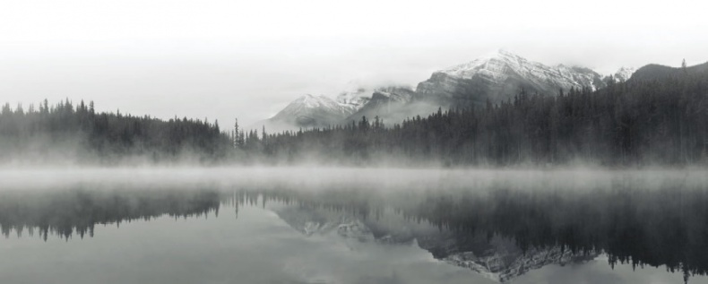 Иллюстрация к книге — Волк. Размышления о главном [i_023.jpg]