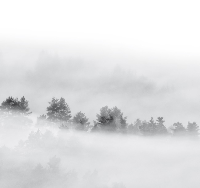 Иллюстрация к книге — Волк. Размышления о главном [i_026.jpg]