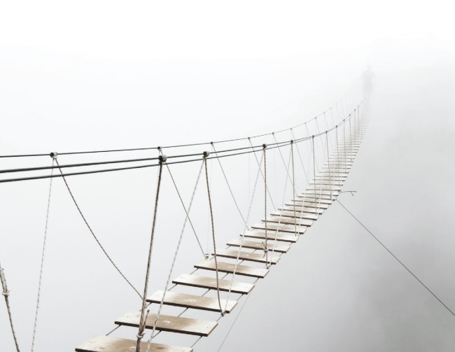 Иллюстрация к книге — Волк. Размышления о главном [i_027.jpg]