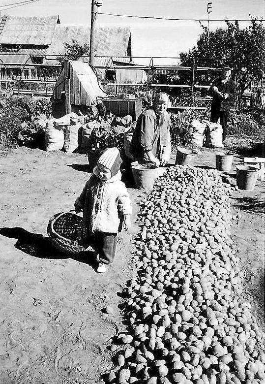 Иллюстрация к книге — Она развалилась. Повседневная история СССР и России в 1985-1999 гг. [i_001.jpg]