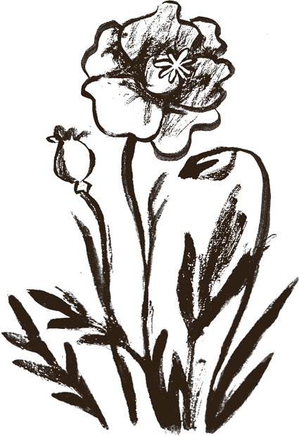 Иллюстрация к книге — Что мы ели в СССР. Рецепты на все времена [_23.jpg]