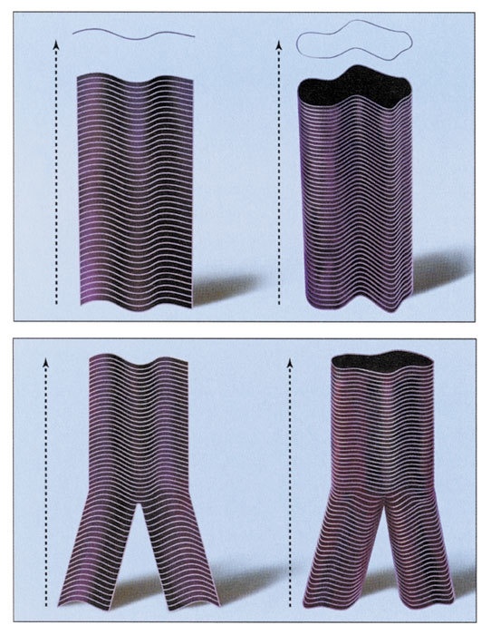 Иллюстрация к книге — Теория всего. От сингулярности до бесконечности: происхождение и судьба Вселенной [i_028.jpg]