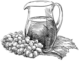 Иллюстрация к книге — Консервирование и лучшие рецепты опытных садоводов и огородников [block_001160_page_102_image_0002.jpg]