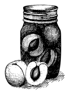 Иллюстрация к книге — Консервирование и лучшие рецепты опытных садоводов и огородников [block_001160_page_136_image_0002.jpg]