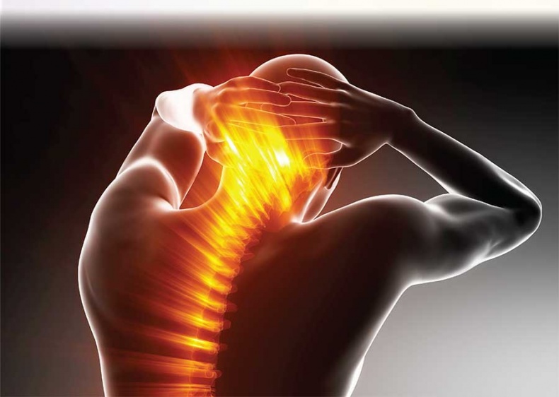 Иллюстрация к книге — Йога-анатомия. Как работают асаны для здоровья и стройности тела [i_002.jpg]