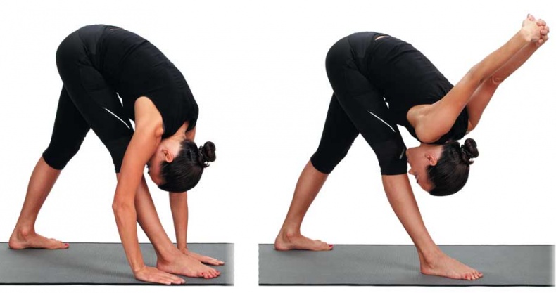 Иллюстрация к книге — Йога-анатомия. Как работают асаны для здоровья и стройности тела [i_062.jpg]