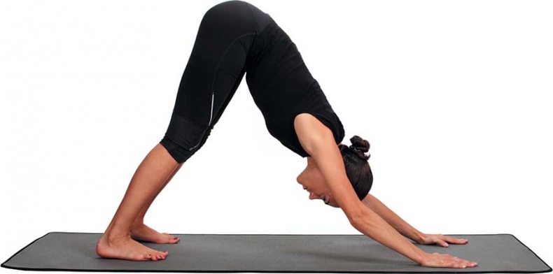 Иллюстрация к книге — Йога-анатомия. Как работают асаны для здоровья и стройности тела [i_084.jpg]