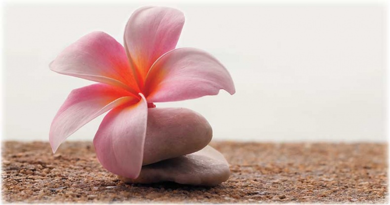 Иллюстрация к книге — Йога-анатомия. Как работают асаны для здоровья и стройности тела [i_088.jpg]