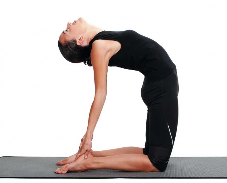 Иллюстрация к книге — Йога-анатомия. Как работают асаны для здоровья и стройности тела [i_136.jpg]