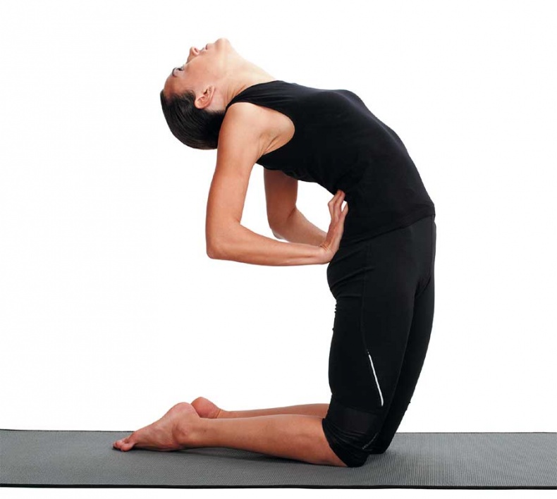 Иллюстрация к книге — Йога-анатомия. Как работают асаны для здоровья и стройности тела [i_139.jpg]