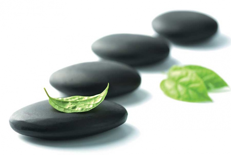 Иллюстрация к книге — Йога-анатомия. Как работают асаны для здоровья и стройности тела [i_146.jpg]