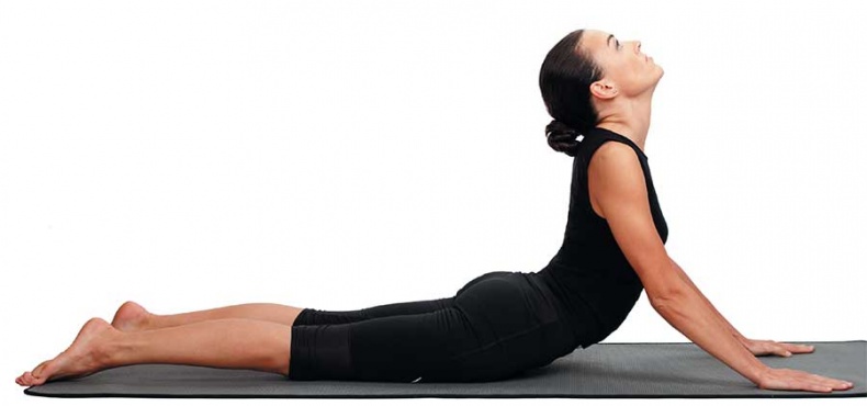 Иллюстрация к книге — Йога-анатомия. Как работают асаны для здоровья и стройности тела [i_148.jpg]