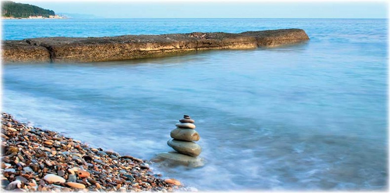 Иллюстрация к книге — Йога-анатомия. Как работают асаны для здоровья и стройности тела [i_159.jpg]