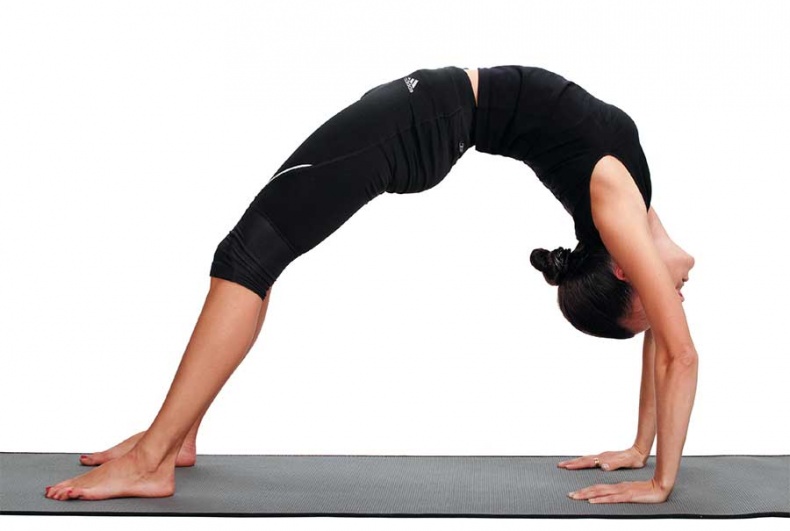 Иллюстрация к книге — Йога-анатомия. Как работают асаны для здоровья и стройности тела [i_187.jpg]