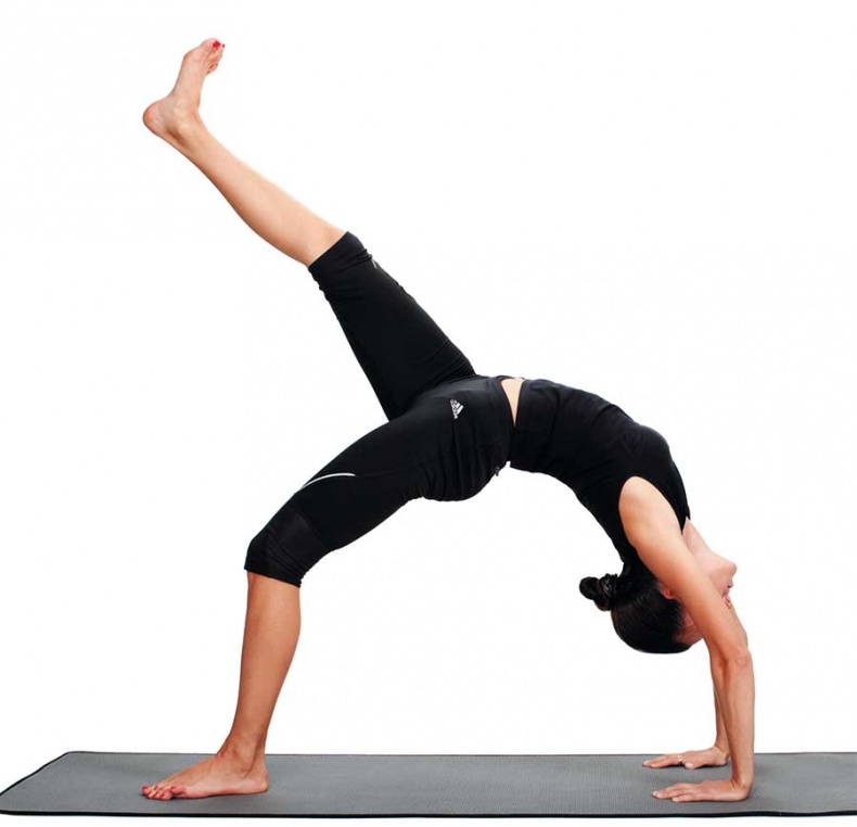 Иллюстрация к книге — Йога-анатомия. Как работают асаны для здоровья и стройности тела [i_188.jpg]