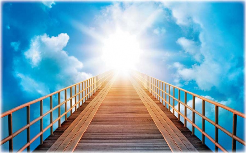 Иллюстрация к книге — Йога-анатомия. Как работают асаны для здоровья и стройности тела [i_198.jpg]