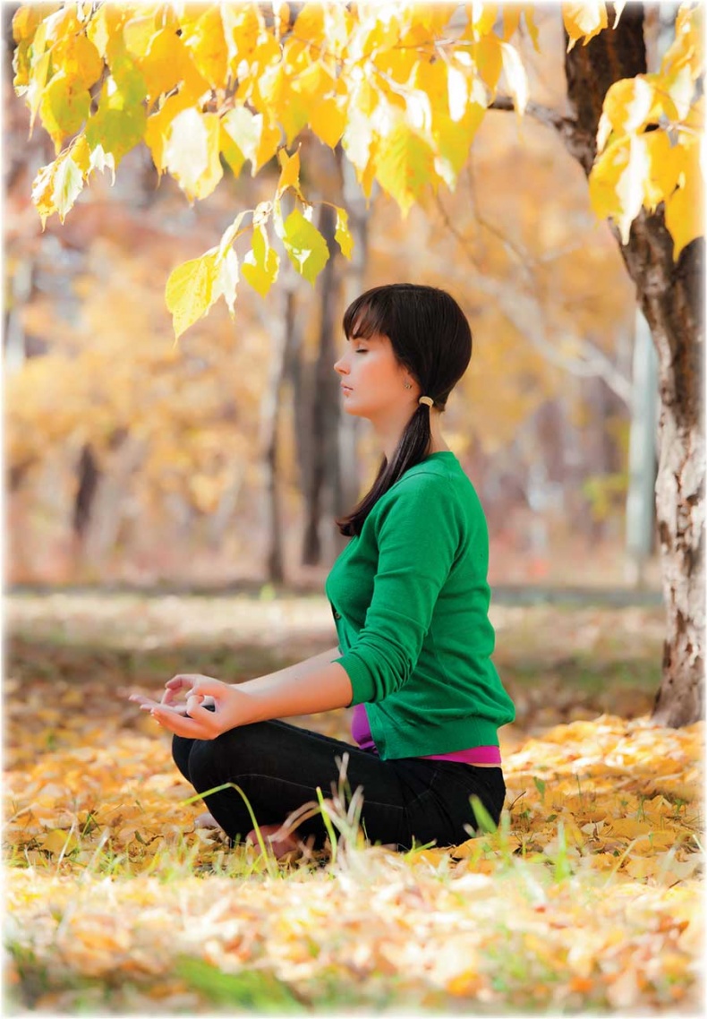 Иллюстрация к книге — Йога-анатомия. Как работают асаны для здоровья и стройности тела [i_227.jpg]