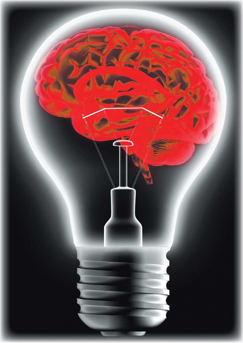 Иллюстрация к книге — Йога-анатомия. Как работают асаны для здоровья и стройности тела [i_230.jpg]