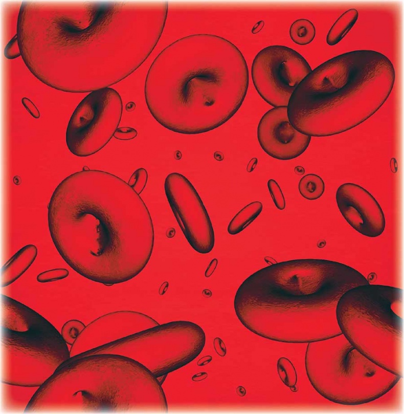 Иллюстрация к книге — Йога-анатомия. Как работают асаны для здоровья и стройности тела [i_231.jpg]