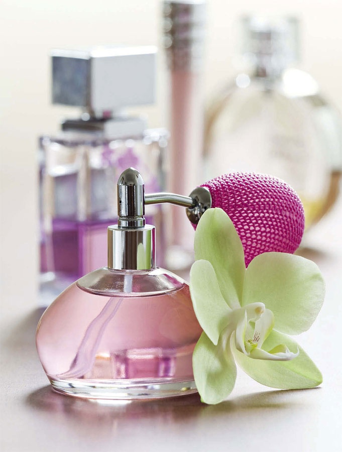 Иллюстрация к книге — Маленькие секреты большого гардероба [_142.jpg]