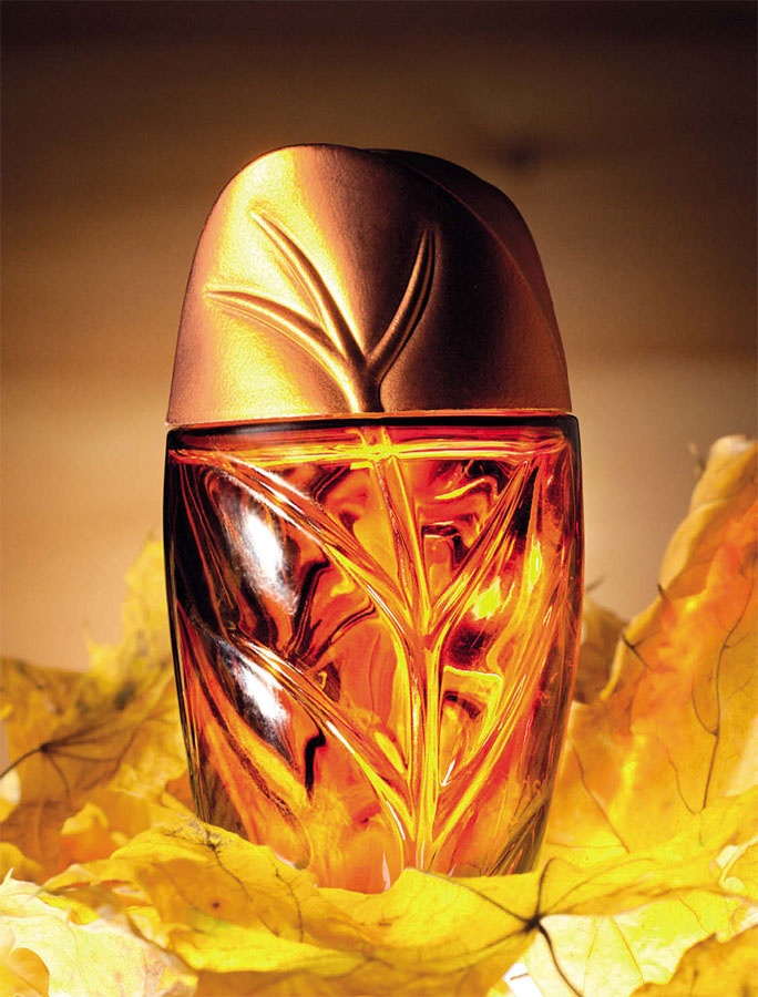 Иллюстрация к книге — Маленькие секреты большого гардероба [_183.jpg]