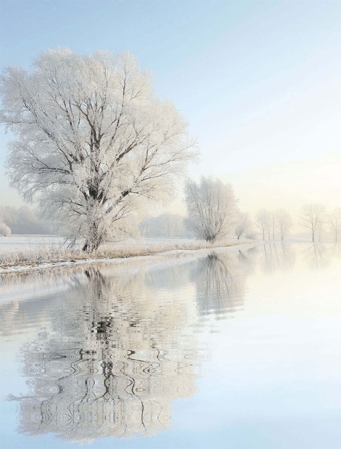 Иллюстрация к книге — Маленькие секреты большого гардероба [_185.jpg]