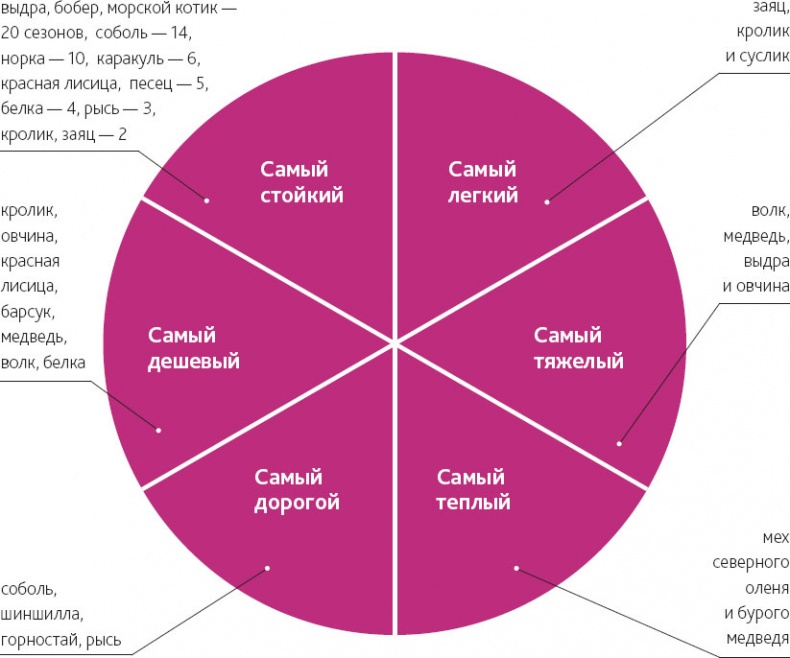 Иллюстрация к книге — Маленькие секреты большого гардероба [_196.jpg]