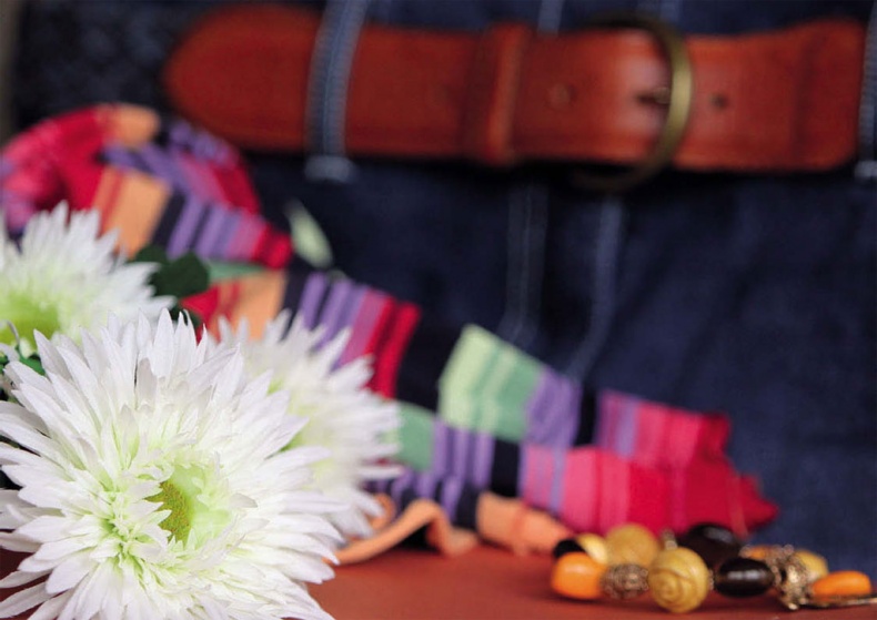 Иллюстрация к книге — Маленькие секреты большого гардероба [_40.jpg]