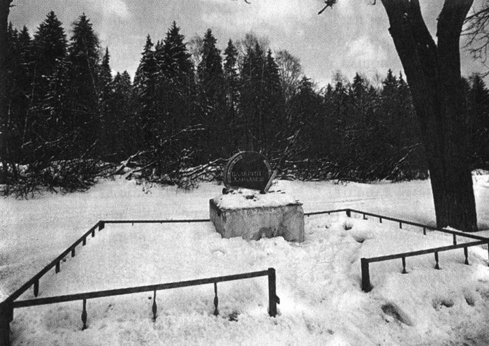 Иллюстрация к книге — Валерий Харламов. Легенда №17 [i_138.jpg]