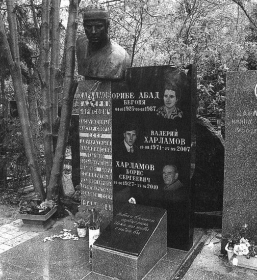 Иллюстрация к книге — Валерий Харламов. Легенда №17 [i_141.jpg]