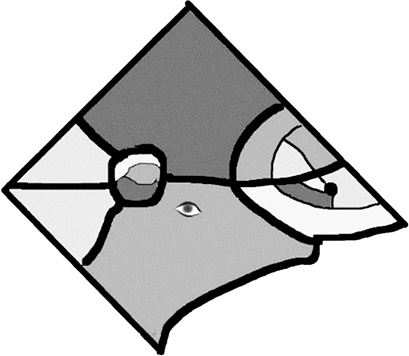 Иллюстрация к книге — Происхождение [i_005.jpg]