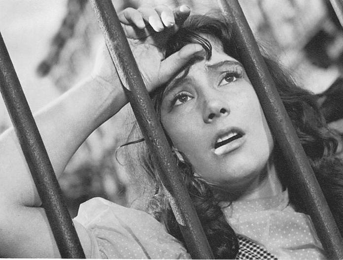 Иллюстрация к книге — Удивление перед жизнью. Воспоминания [_44.jpg]