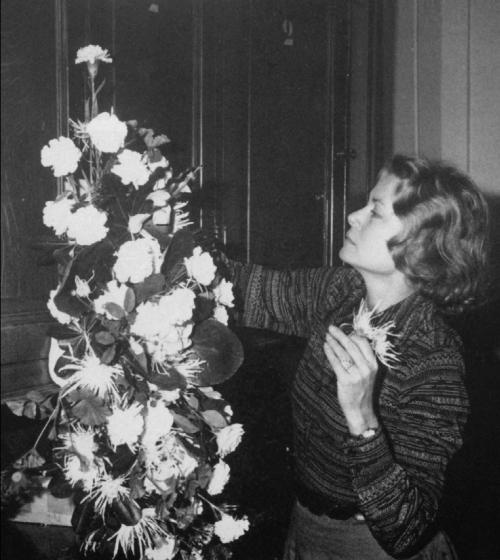 Иллюстрация к книге — Принцесса Монако [i_039.jpg]