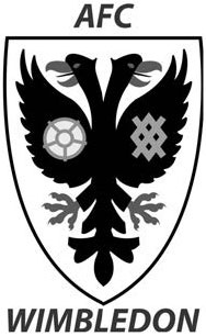 Иллюстрация к книге — Футбол на Британских островах [_44.jpg]