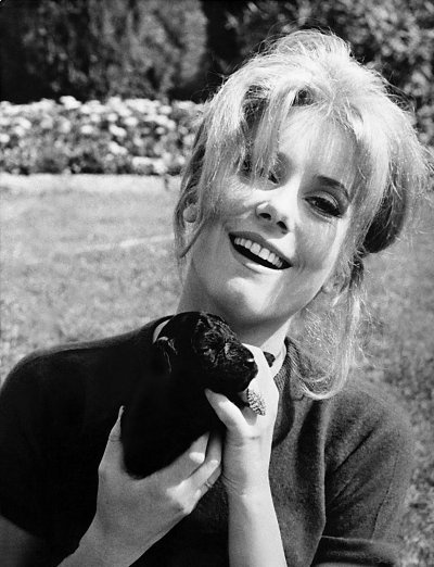 Иллюстрация к книге — Первая встреча – последняя встреча [i_069.jpg]