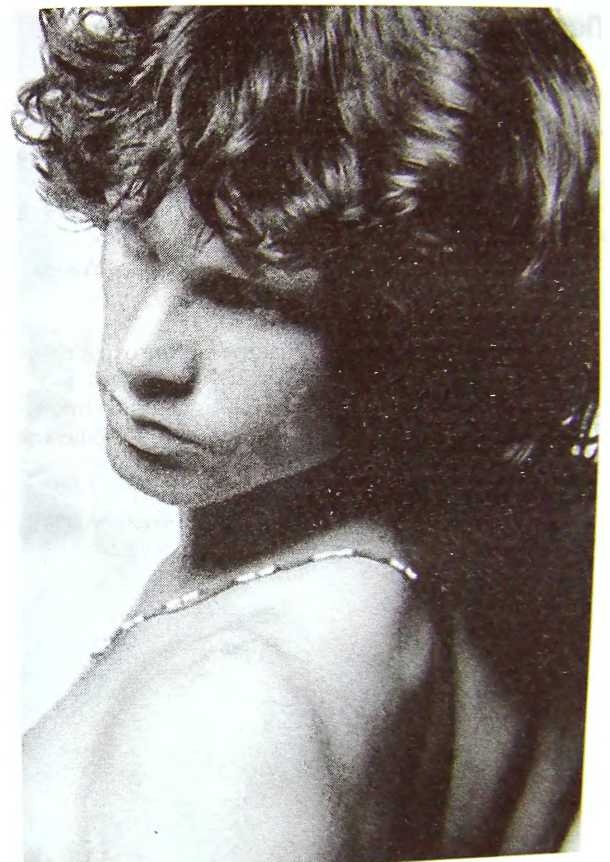 Иллюстрация к книге — Шаман. Скандальная биография Джима Моррисона [i_025.jpg]