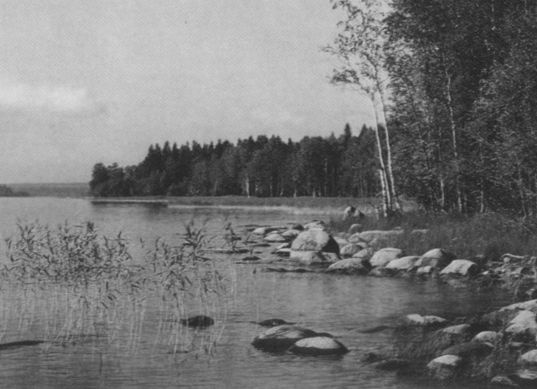 Иллюстрация к книге — Зощенко [i_049.jpg]