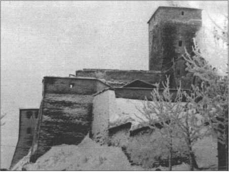 Иллюстрация к книге — &quot;Тигры&quot; в снегу. Мемуары танкового аса [i_097.jpg]