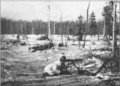 Иллюстрация к книге — &quot;Тигры&quot; в снегу. Мемуары танкового аса [i_110.jpg]