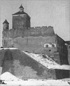 Иллюстрация к книге — &quot;Тигры&quot; в снегу. Мемуары танкового аса [i_114.jpg]