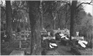 Иллюстрация к книге — &quot;Тигры&quot; в снегу. Мемуары танкового аса [i_144.jpg]